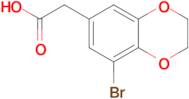 2-(8-Bromo-2,3-dihydrobenzo[b][1,4]dioxin-6-yl)acetic acid