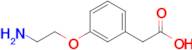 2-(3-(2-Aminoethoxy)phenyl)acetic acid