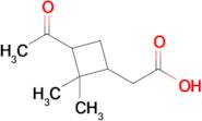 2-(3-Acetyl-2,2-dimethylcyclobutyl)acetic acid