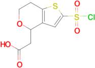 2-(2-(Chlorosulfonyl)-6,7-dihydro-4h-thieno[3,2-c]pyran-4-yl)acetic acid