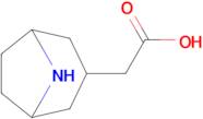 2-(8-Azabicyclo[3.2.1]octan-3-yl)acetic acid