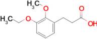 3-(3-Ethoxy-2-methoxyphenyl)propanoic acid