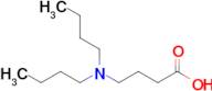 4-(Dibutylamino)butanoic acid