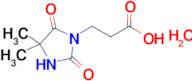 3-(4,4-Dimethyl-2,5-dioxoimidazolidin-1-yl)propanoic acid hydrate