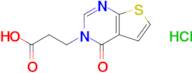 3-(4-Oxothieno[2,3-d]pyrimidin-3(4h)-yl)propanoic acid hydrochloride