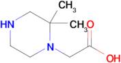 2-(2,2-Dimethylpiperazin-1-yl)acetic acid