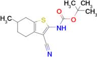 Tert-butyl (3-cyano-6-methyl-4,5,6,7-tetrahydrobenzo[b]thiophen-2-yl)carbamate