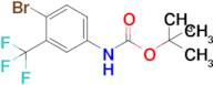 Tert-butyl (4-bromo-3-(trifluoromethyl)phenyl)carbamate