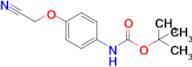 Tert-butyl (4-(cyanomethoxy)phenyl)carbamate