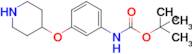 Tert-butyl (3-(piperidin-4-yloxy)phenyl)carbamate