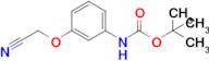 Tert-butyl (3-(cyanomethoxy)phenyl)carbamate