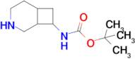 Tert-butyl (3-azabicyclo[4.2.0]octan-8-yl)carbamate