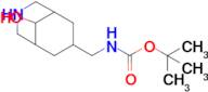 Tert-butyl ((9-hydroxy-3-azabicyclo[3.3.1]nonan-7-yl)methyl)carbamate