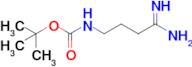 Tert-butyl (4-amino-4-iminobutyl)carbamate