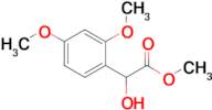 Methyl 2-(2,4-dimethoxyphenyl)-2-hydroxyacetate