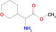 Methyl 2-amino-2-(tetrahydro-2h-pyran-3-yl)acetate