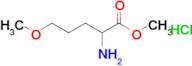 Methyl 2-amino-5-methoxypentanoate hydrochloride