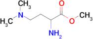 Methyl 2-amino-4-(dimethylamino)butanoate