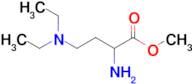 Methyl 2-amino-4-(diethylamino)butanoate