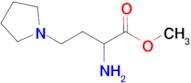 Methyl 2-amino-4-(pyrrolidin-1-yl)butanoate