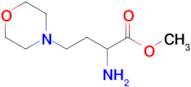 Methyl 2-amino-4-morpholinobutanoate