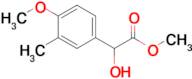 Methyl 2-hydroxy-2-(4-methoxy-3-methylphenyl)acetate