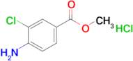 Methyl 4-amino-3-chlorobenzoate hydrochloride