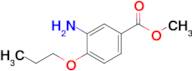 Methyl 3-amino-4-propoxybenzoate