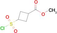 Methyl 3-(chlorosulfonyl)cyclobutane-1-carboxylate