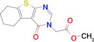 Methyl 2-(4-oxo-5,6,7,8-tetrahydrobenzo[4,5]thieno[2,3-d]pyrimidin-3(4h)-yl)acetate