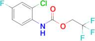 2,2,2-Trifluoroethyl (2-chloro-4-fluorophenyl)carbamate