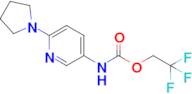 2,2,2-Trifluoroethyl (6-(pyrrolidin-1-yl)pyridin-3-yl)carbamate