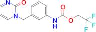 2,2,2-Trifluoroethyl (3-((2-oxopyrimidin-1(2h)-yl)methyl)phenyl)carbamate