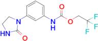 2,2,2-Trifluoroethyl (3-(2-oxoimidazolidin-1-yl)phenyl)carbamate