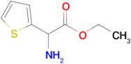 Ethyl 2-amino-2-(thiophen-2-yl)acetate