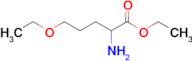 Ethyl 2-amino-5-ethoxypentanoate