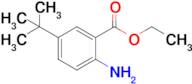 Ethyl 2-amino-5-(tert-butyl)benzoate