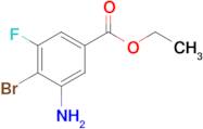 Ethyl 3-amino-4-bromo-5-fluorobenzoate