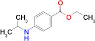 Ethyl 4-(isopropylamino)benzoate