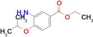 Ethyl 3-amino-4-isopropoxybenzoate