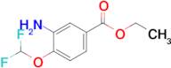 Ethyl 3-amino-4-(difluoromethoxy)benzoate