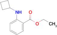 Ethyl 2-(cyclobutylamino)benzoate