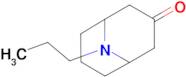 9-Propyl-9-azabicyclo[3.3.1]nonan-3-one