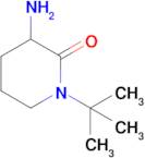 3-Amino-1-(tert-butyl)piperidin-2-one