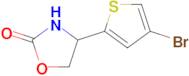 4-(4-Bromothiophen-2-yl)oxazolidin-2-one