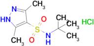 n-(Tert-butyl)-3,5-dimethyl-1h-pyrazole-4-sulfonamide hydrochloride