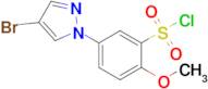 5-(4-Bromo-1h-pyrazol-1-yl)-2-methoxybenzenesulfonyl chloride