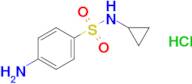 4-Amino-n-cyclopropylbenzenesulfonamide hydrochloride