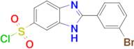 2-(3-bromophenyl)-1H-1,3-benzodiazole-6-sulfonyl chloride