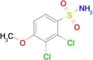 2,3-Dichloro-4-methoxybenzenesulfonamide